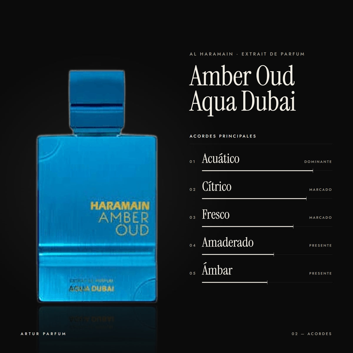 Amber Oud Aqua Dubai — acordes principales
