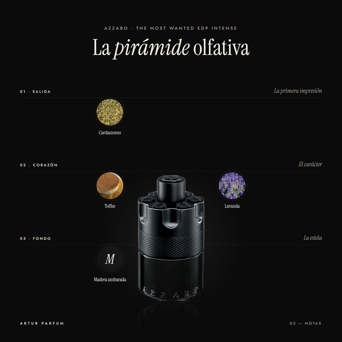 The Most Wanted EDP Intense — notas de salida, corazón y fondo
