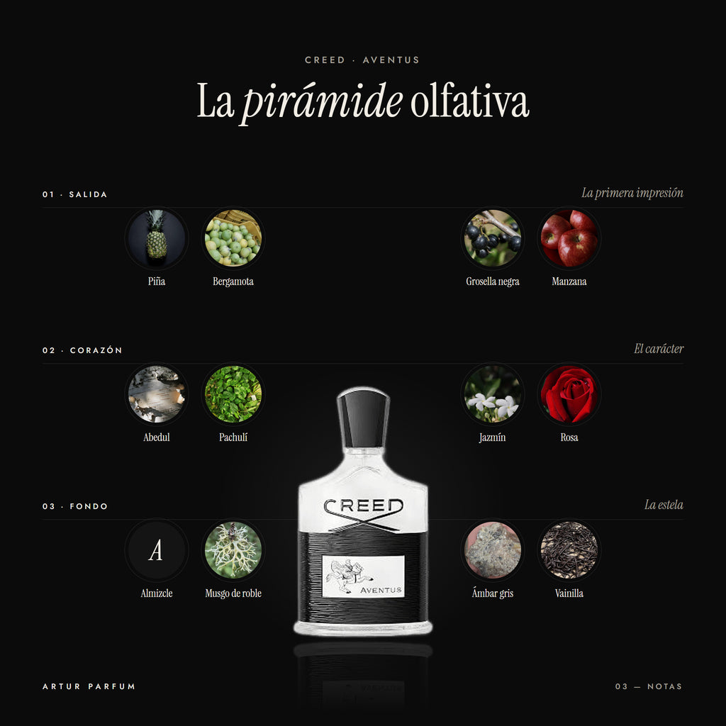Aventus — notas de salida, corazón y fondo