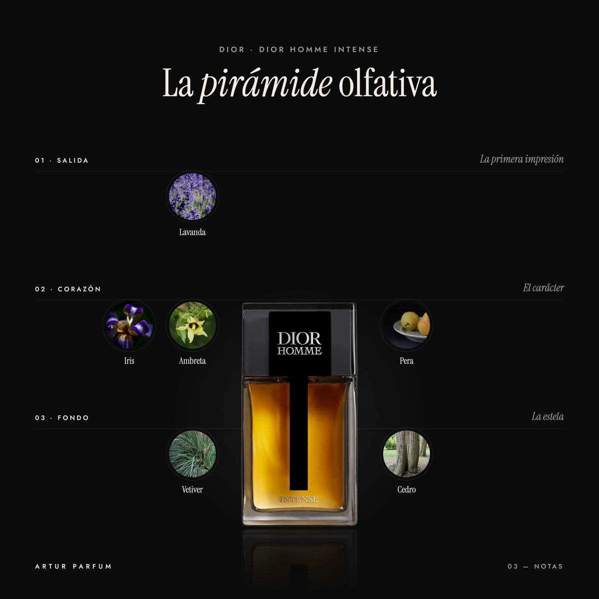 Dior Homme Intense — notas de salida, corazón y fondo