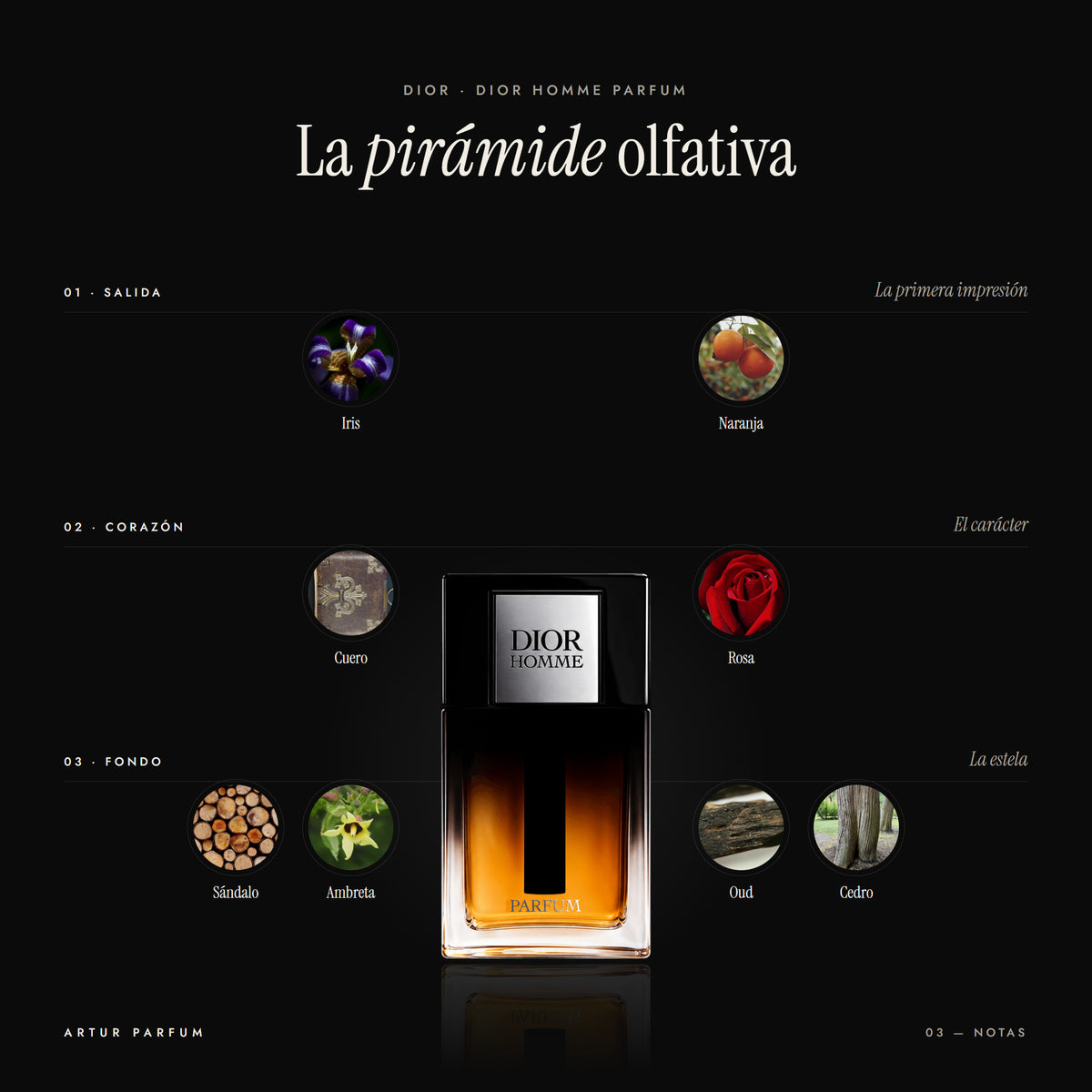 Dior Homme Parfum — notas de salida, corazón y fondo