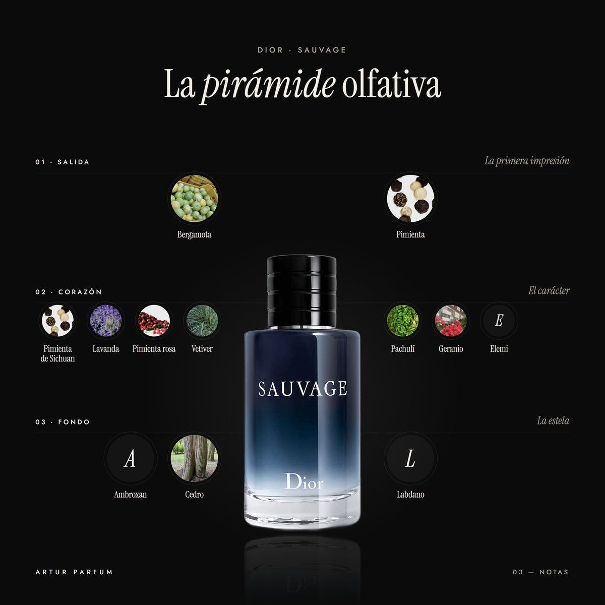 Sauvage — notas de salida, corazón y fondo