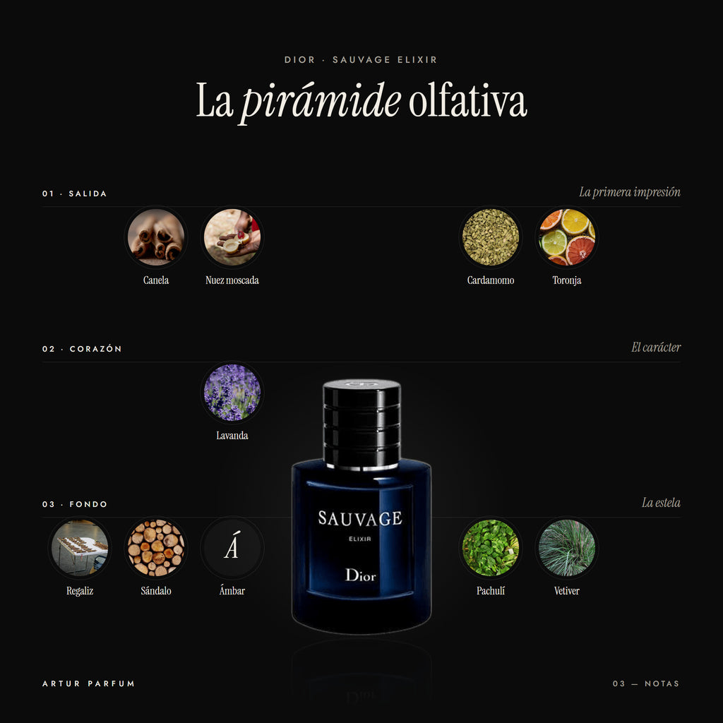 Sauvage Elixir — notas de salida, corazón y fondo