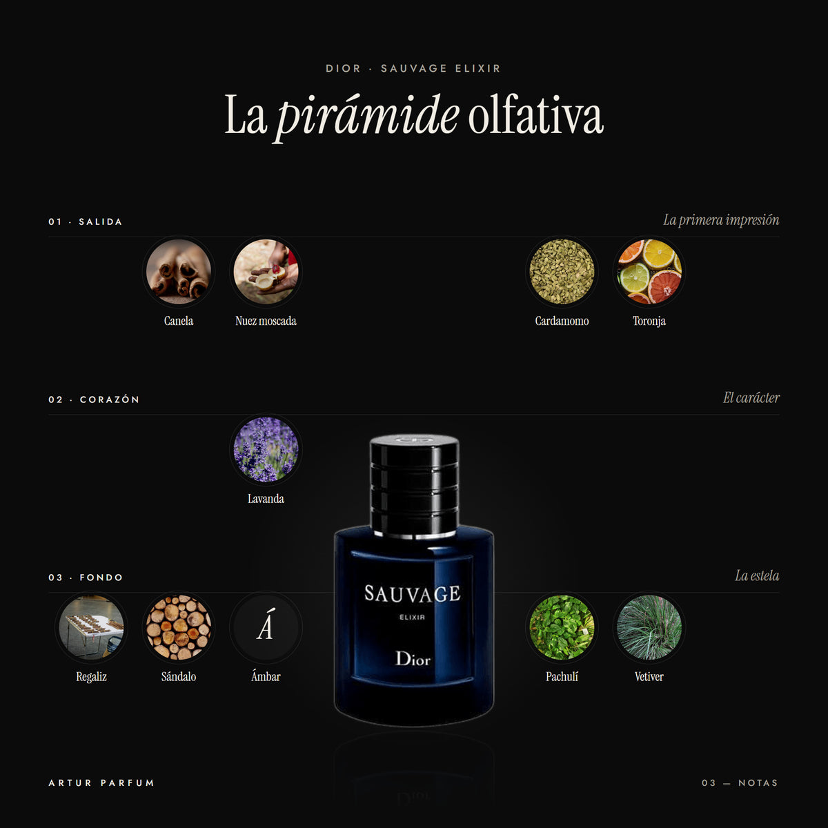 Sauvage Elixir — notas de salida, corazón y fondo