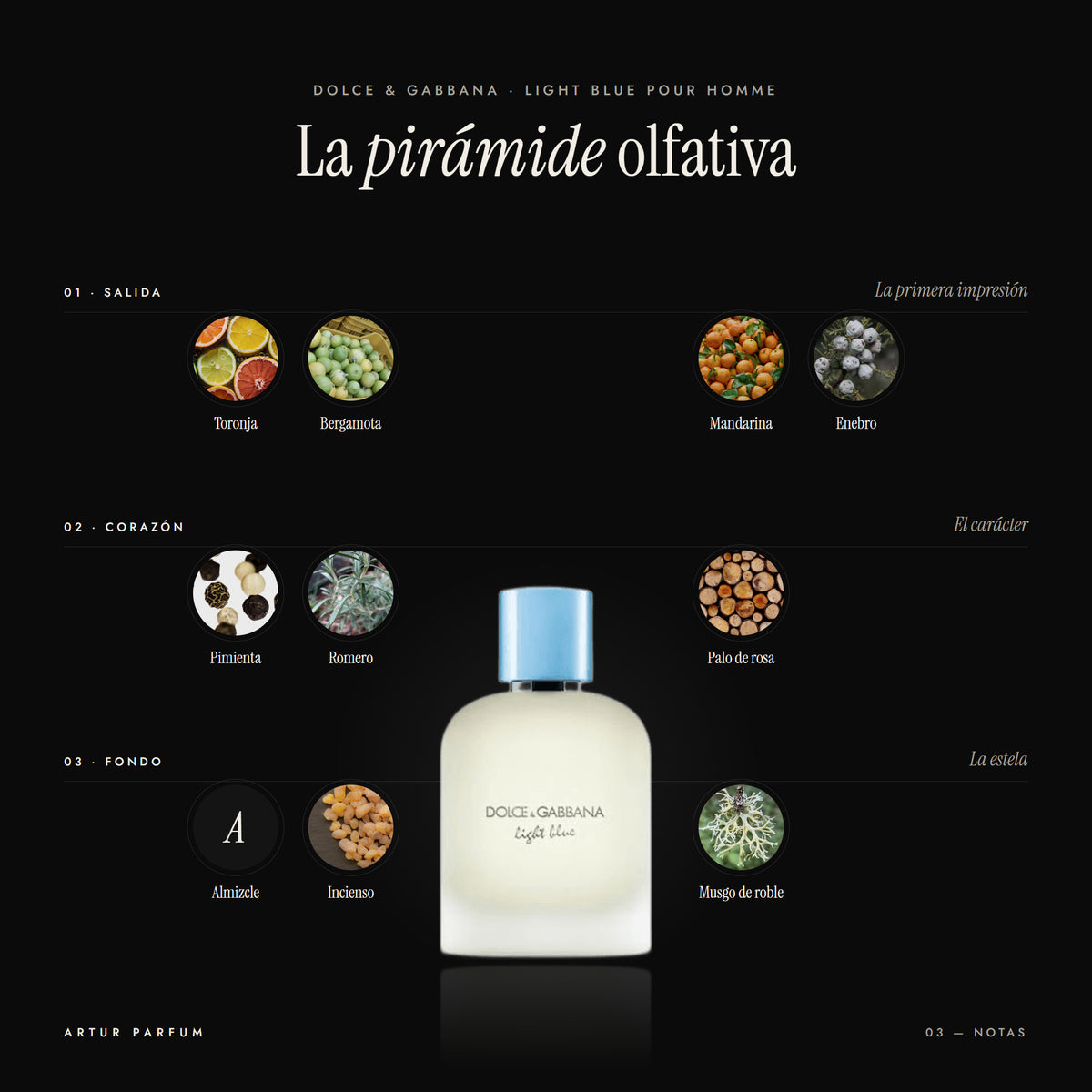 Light Blue Pour Homme — notas de salida, corazón y fondo