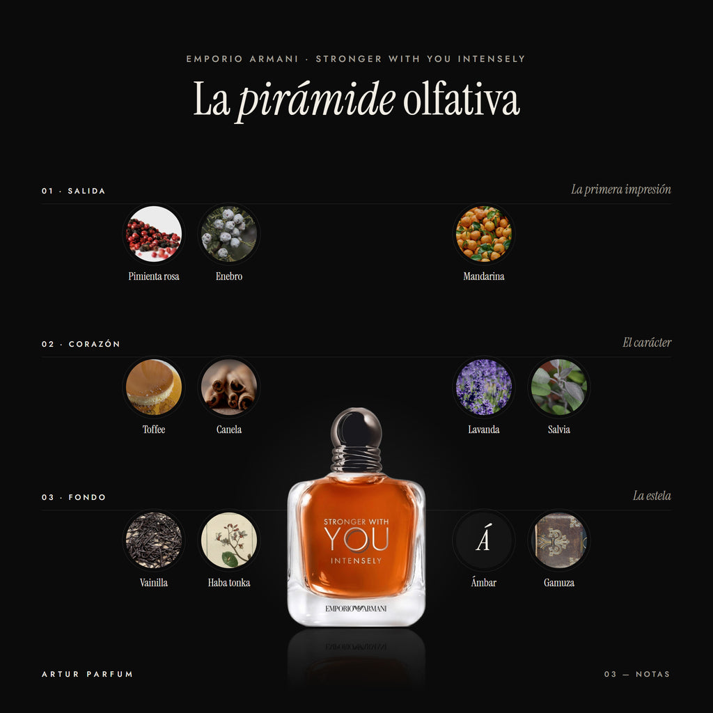 Stronger With You Intensely — notas de salida, corazón y fondo