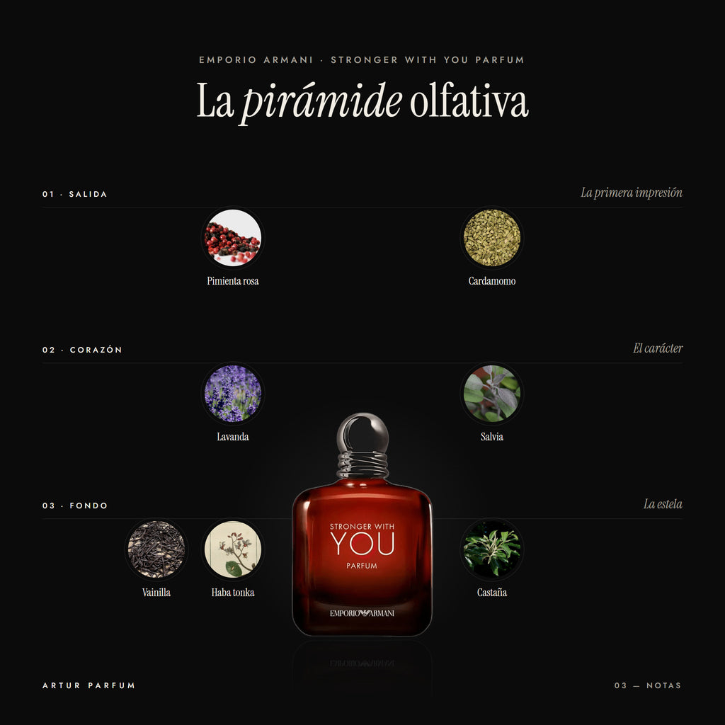 Stronger With You Parfum — notas de salida, corazón y fondo