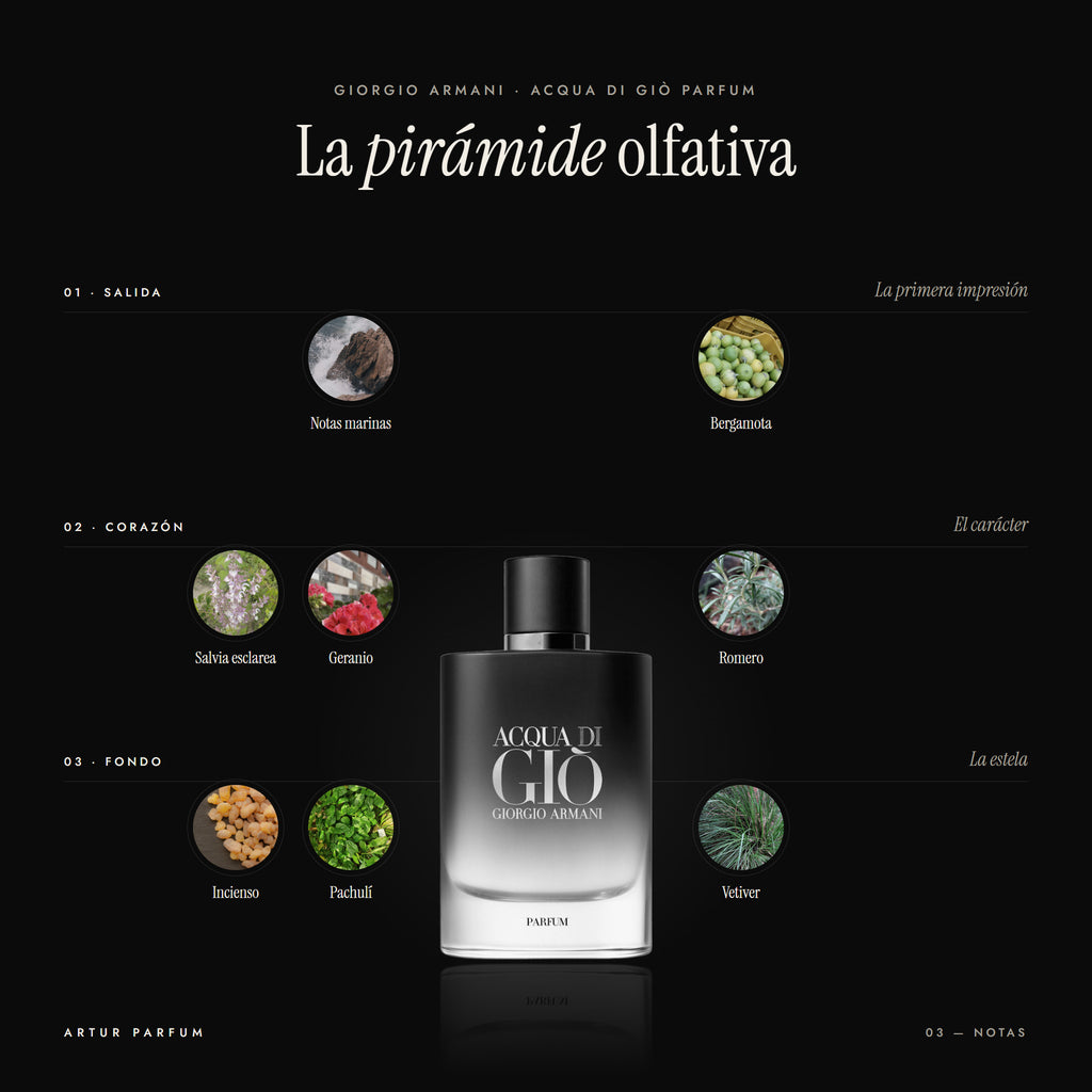 Acqua di Giò Parfum — notas de salida, corazón y fondo