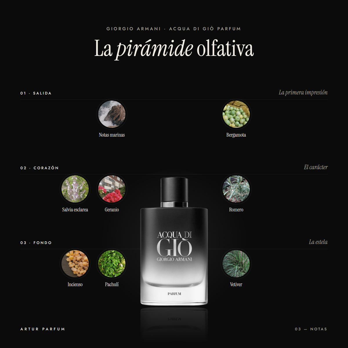 Acqua di Giò Parfum — notas de salida, corazón y fondo
