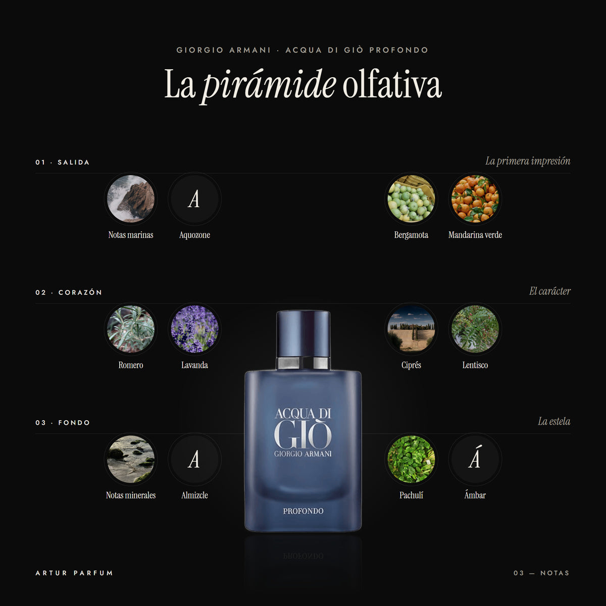 Acqua di Giò Profondo — notas de salida, corazón y fondo