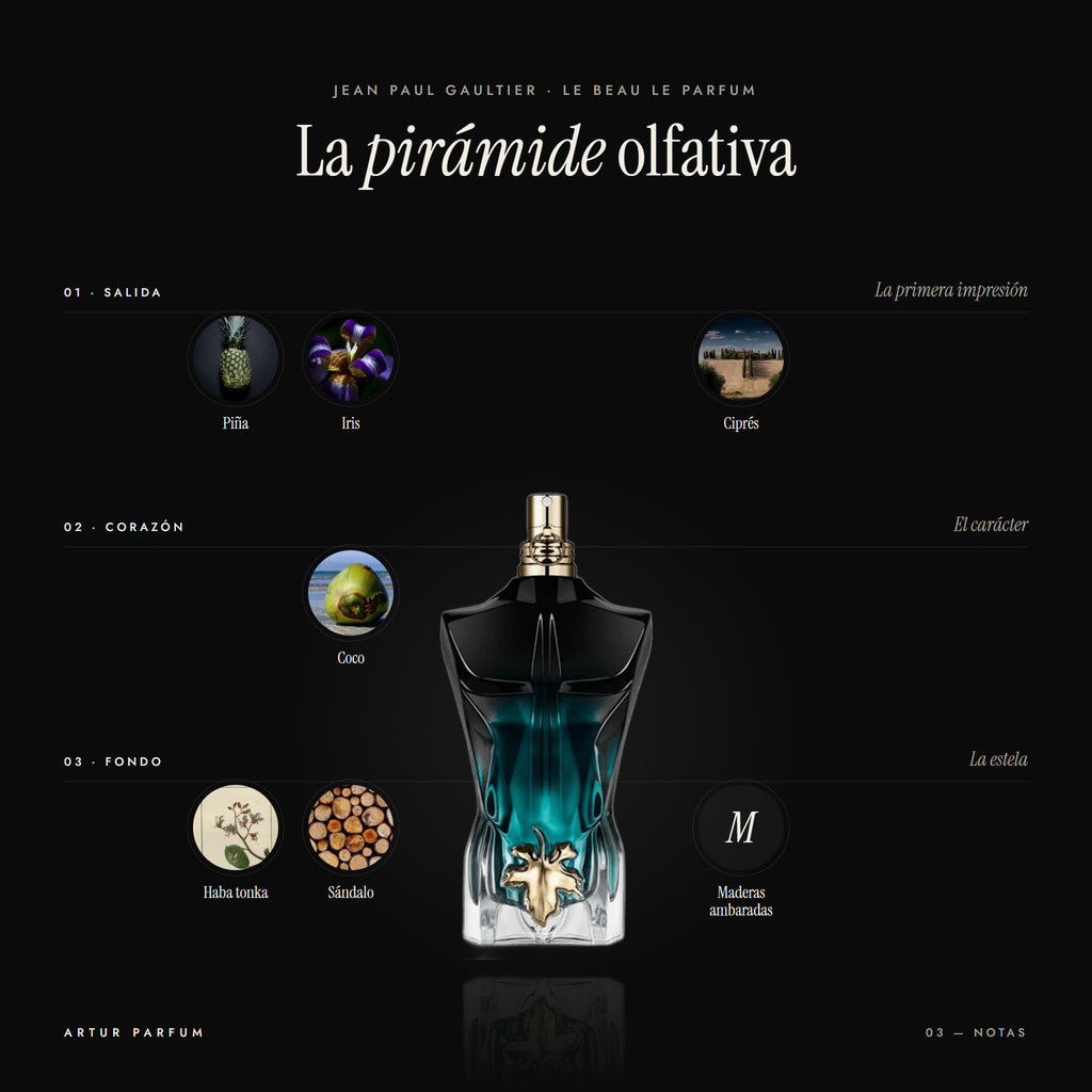 Le Beau Le Parfum — notas de salida, corazón y fondo