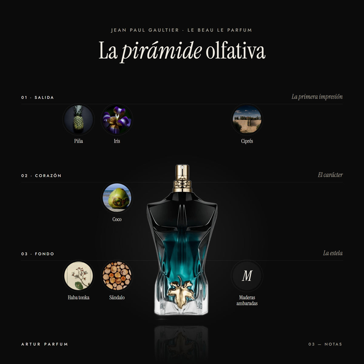 Le Beau Le Parfum — notas de salida, corazón y fondo