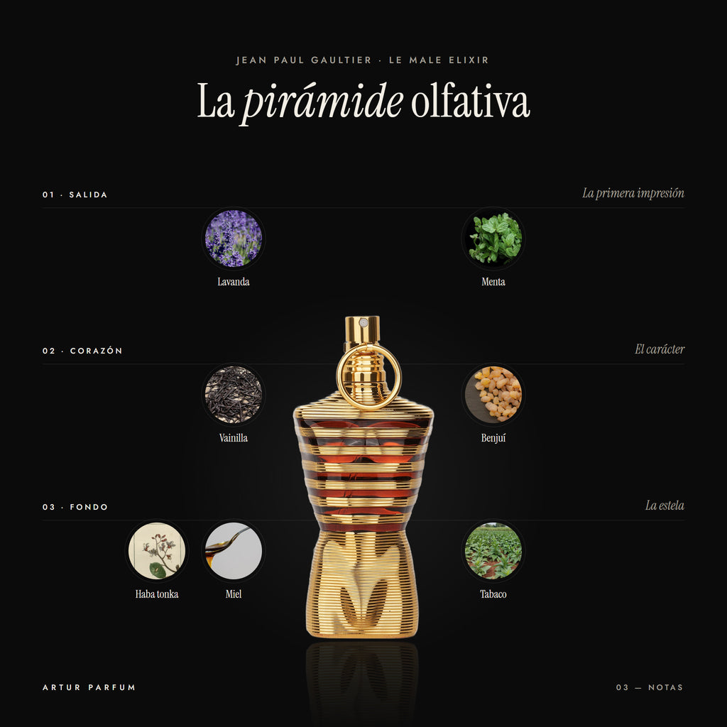 Le Male Elixir — notas de salida, corazón y fondo