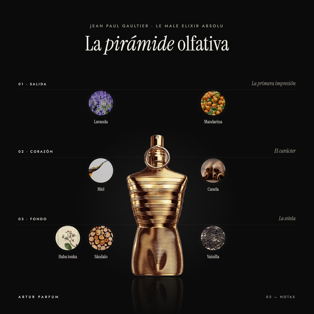 Le Male Elixir Absolu — notas de salida, corazón y fondo