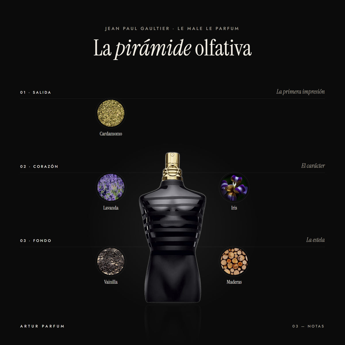 Le Male Le Parfum — notas de salida, corazón y fondo