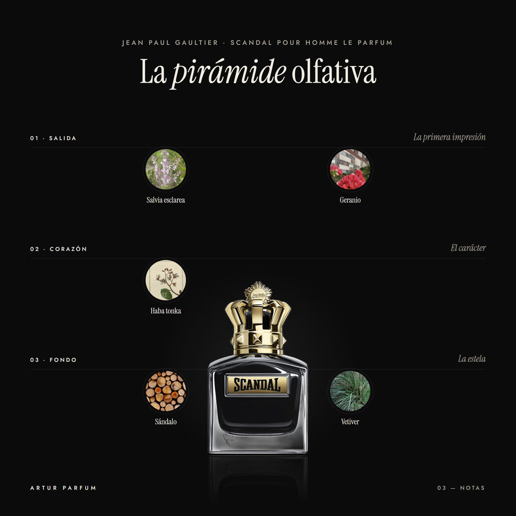 Scandal Pour Homme Le Parfum — notas de salida, corazón y fondo