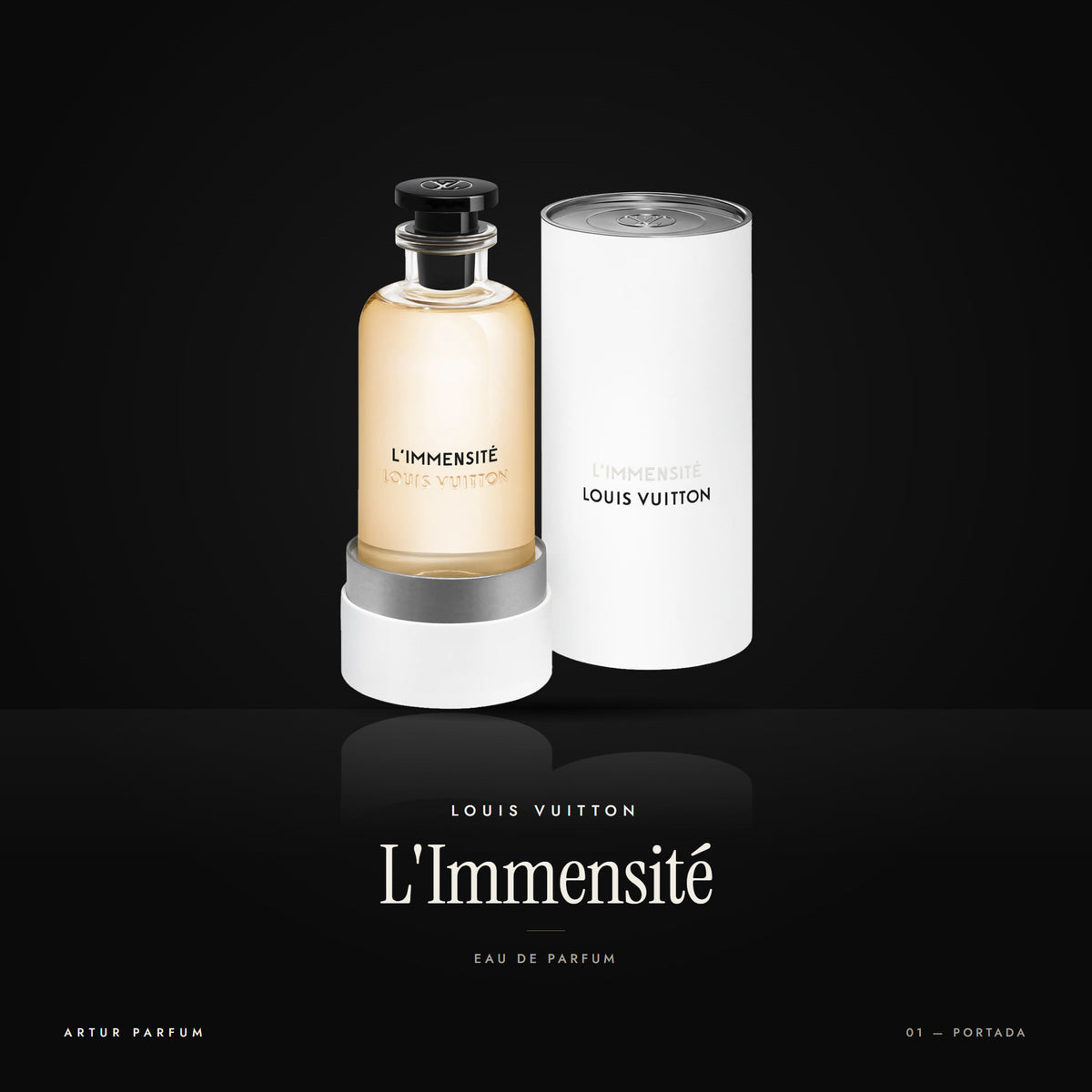L'Immensité — portada
