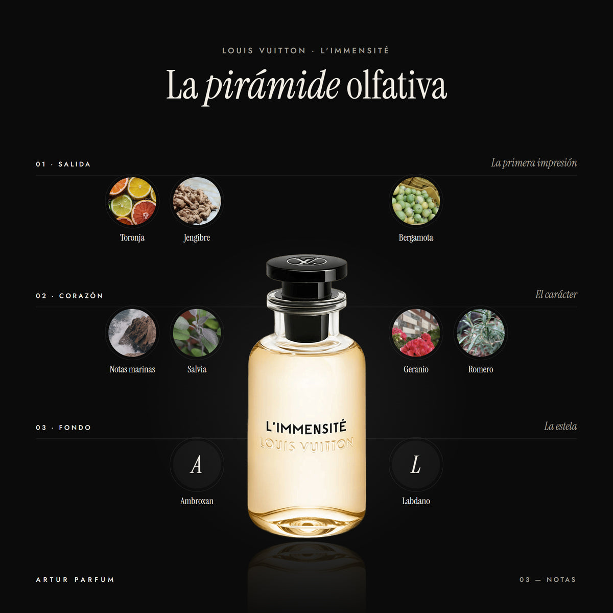 L'Immensité — notas de salida, corazón y fondo