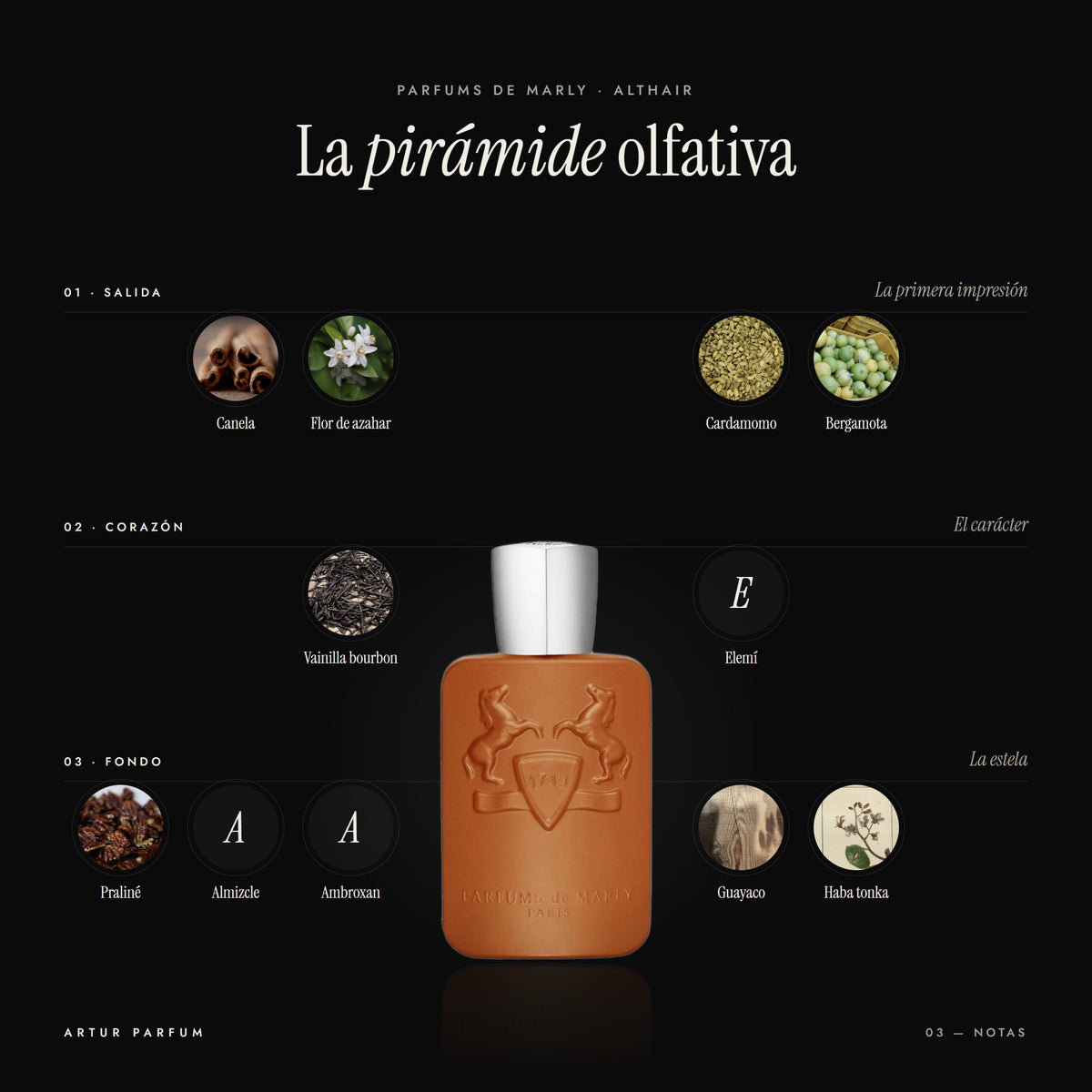 Althair — notas de salida, corazón y fondo