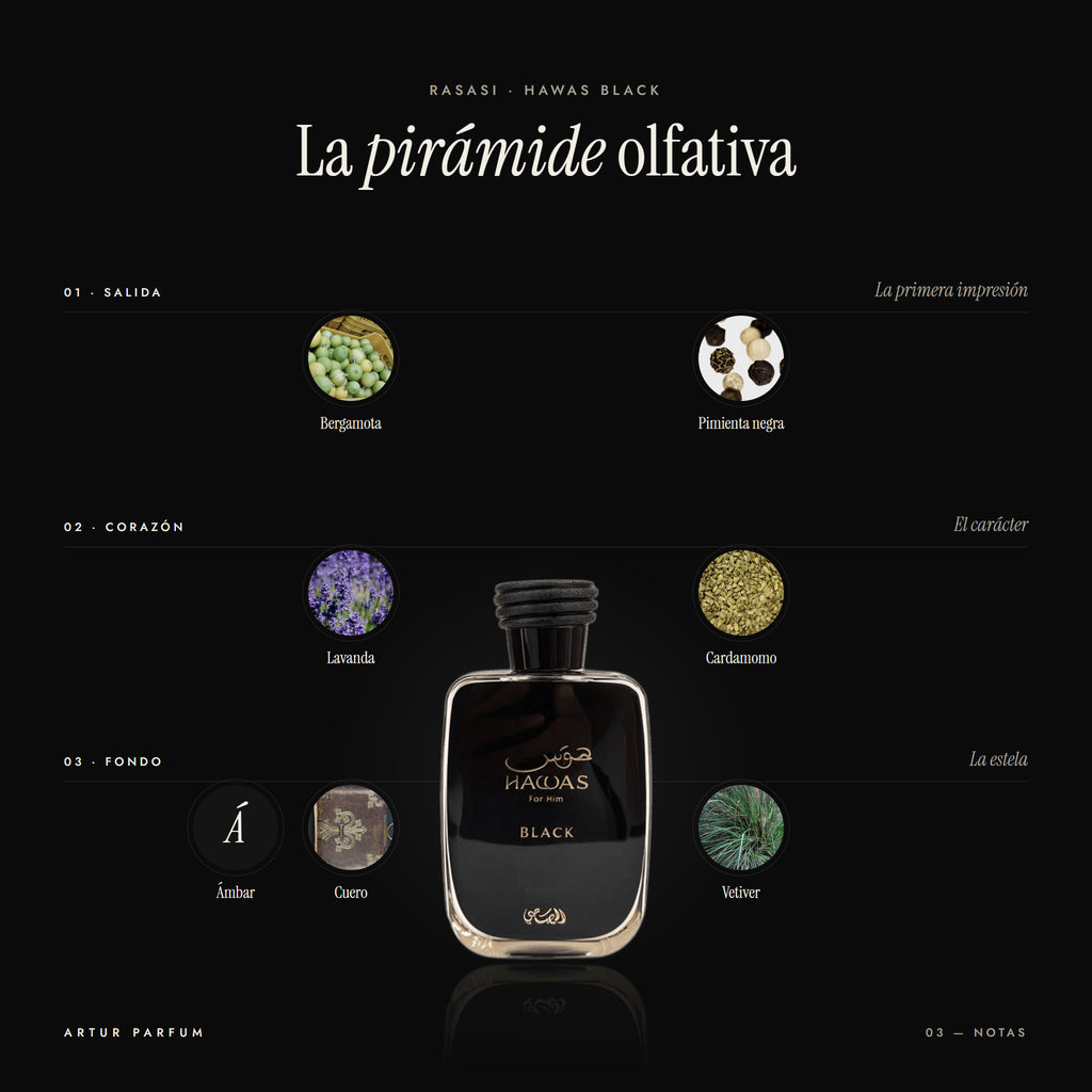 Hawas Black — notas de salida, corazón y fondo