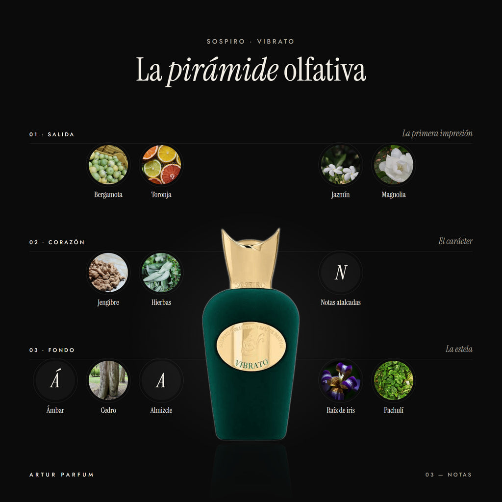 Vibrato — notas de salida, corazón y fondo