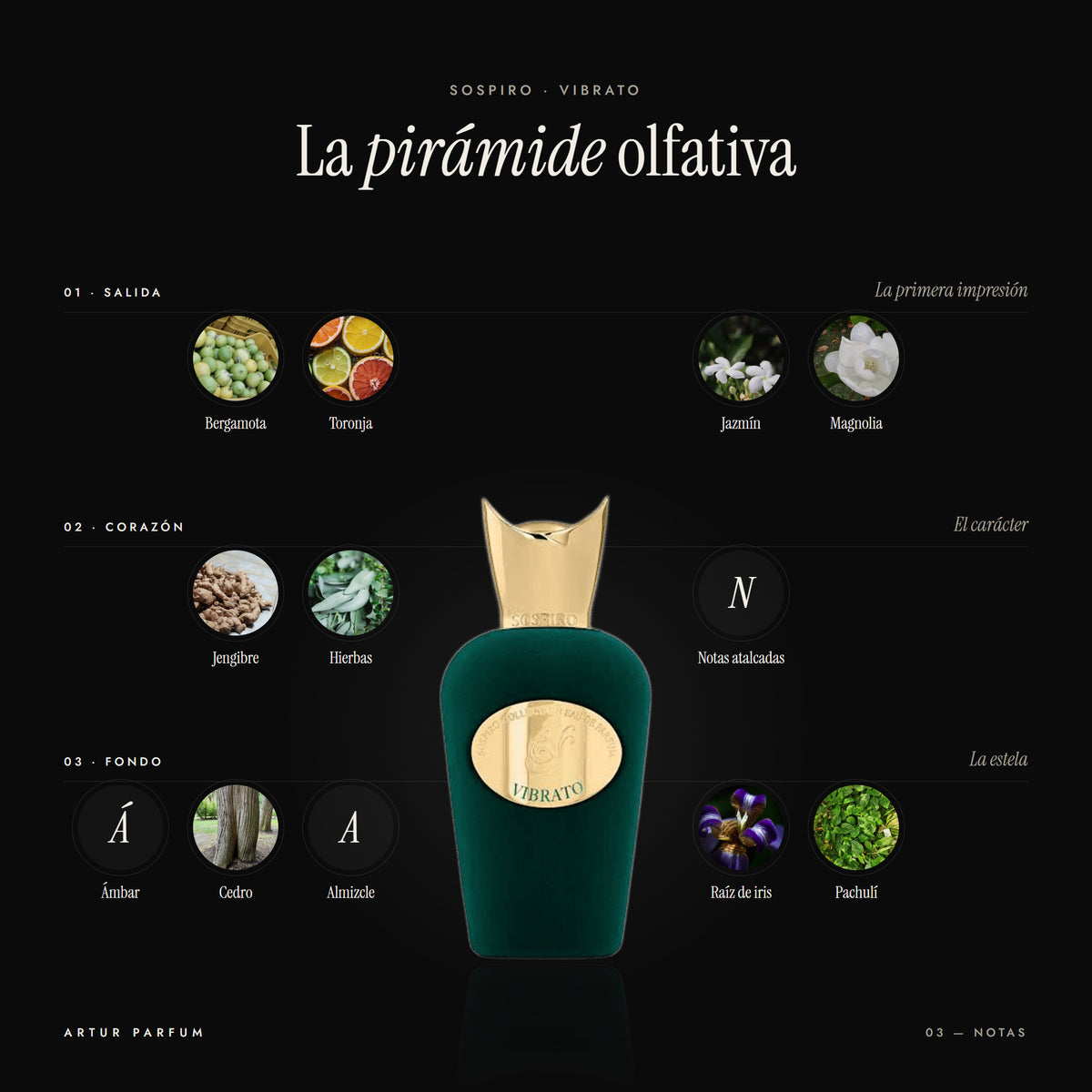 Vibrato — notas de salida, corazón y fondo