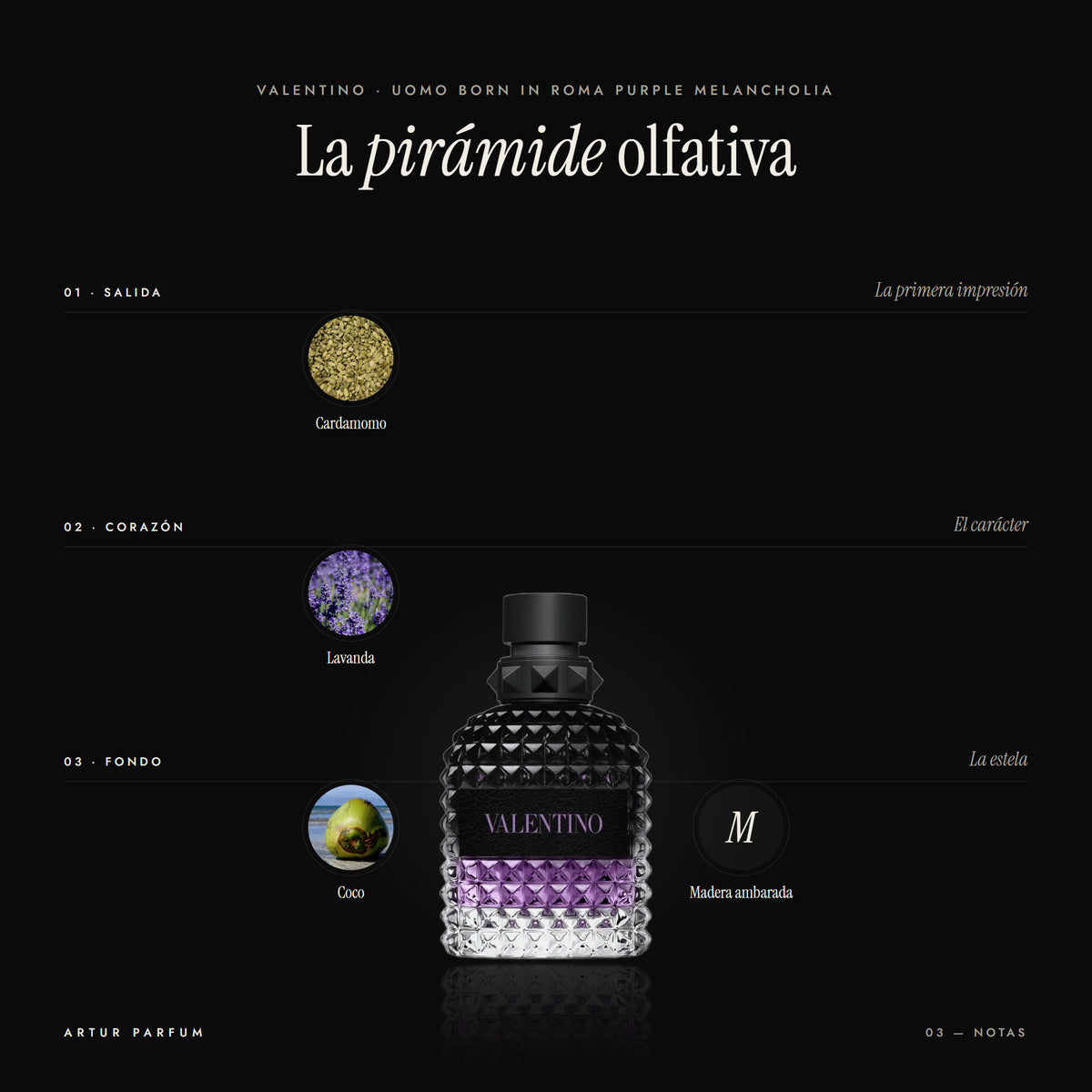 Uomo Born in Roma Purple Melancholia — notas de salida, corazón y fondo