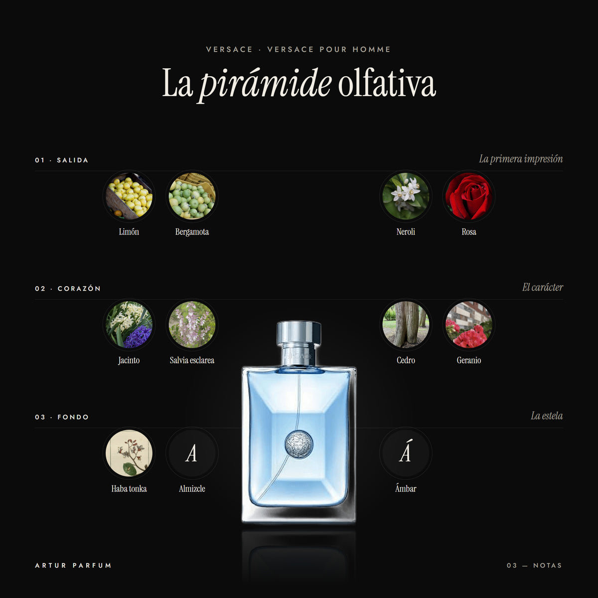 Versace Pour Homme — notas de salida, corazón y fondo