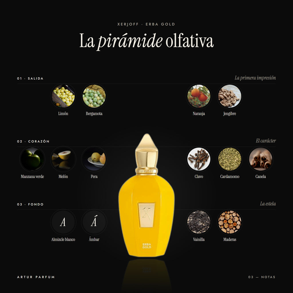 Erba Gold — notas de salida, corazón y fondo
