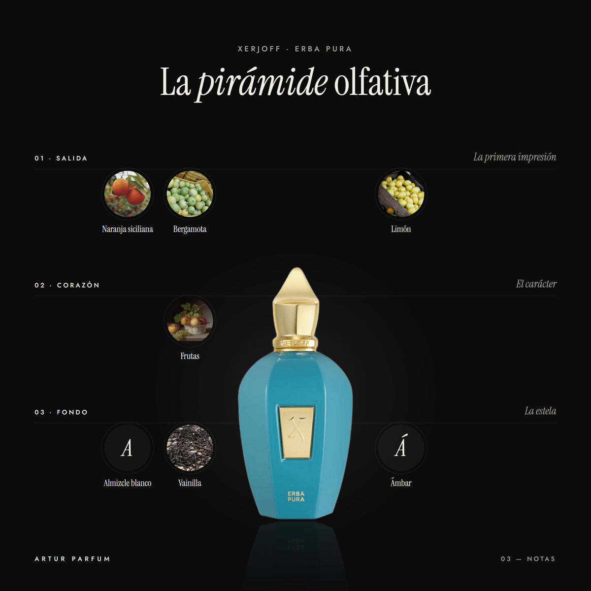 Erba Pura — notas de salida, corazón y fondo