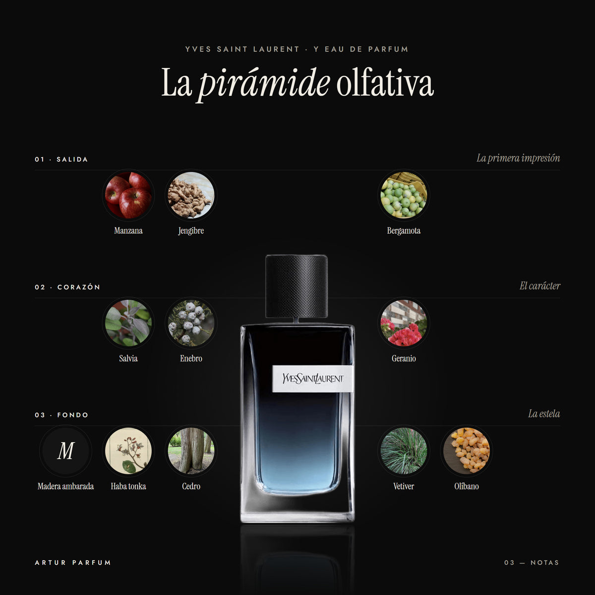 Y Eau de Parfum — notas de salida, corazón y fondo