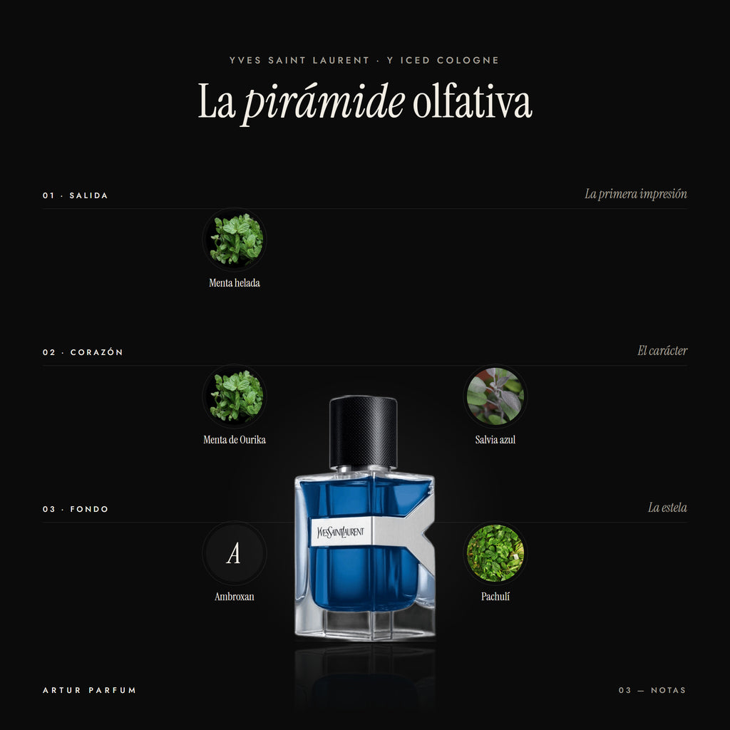Y Iced Cologne — notas de salida, corazón y fondo