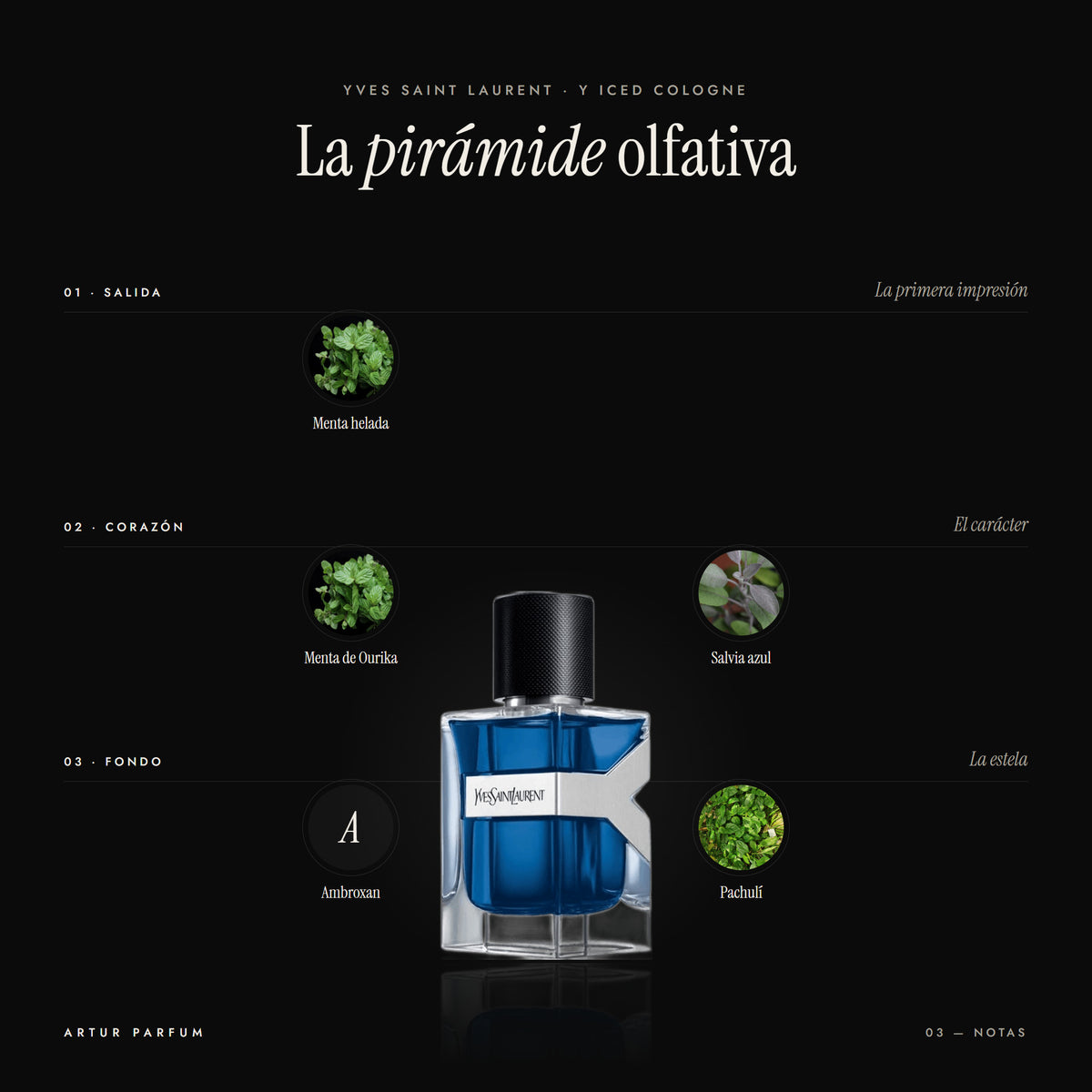 Y Iced Cologne — notas de salida, corazón y fondo