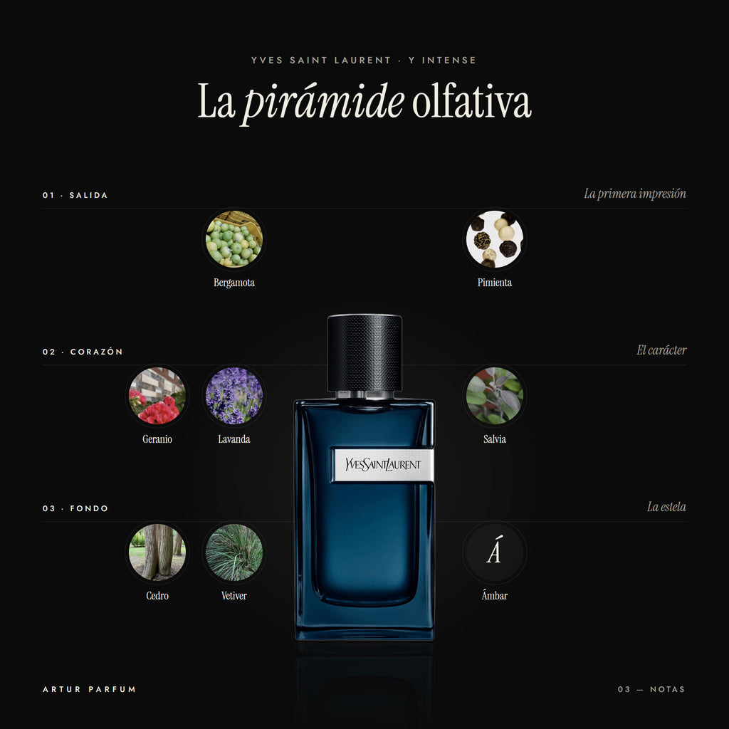 Y Intense — notas de salida, corazón y fondo